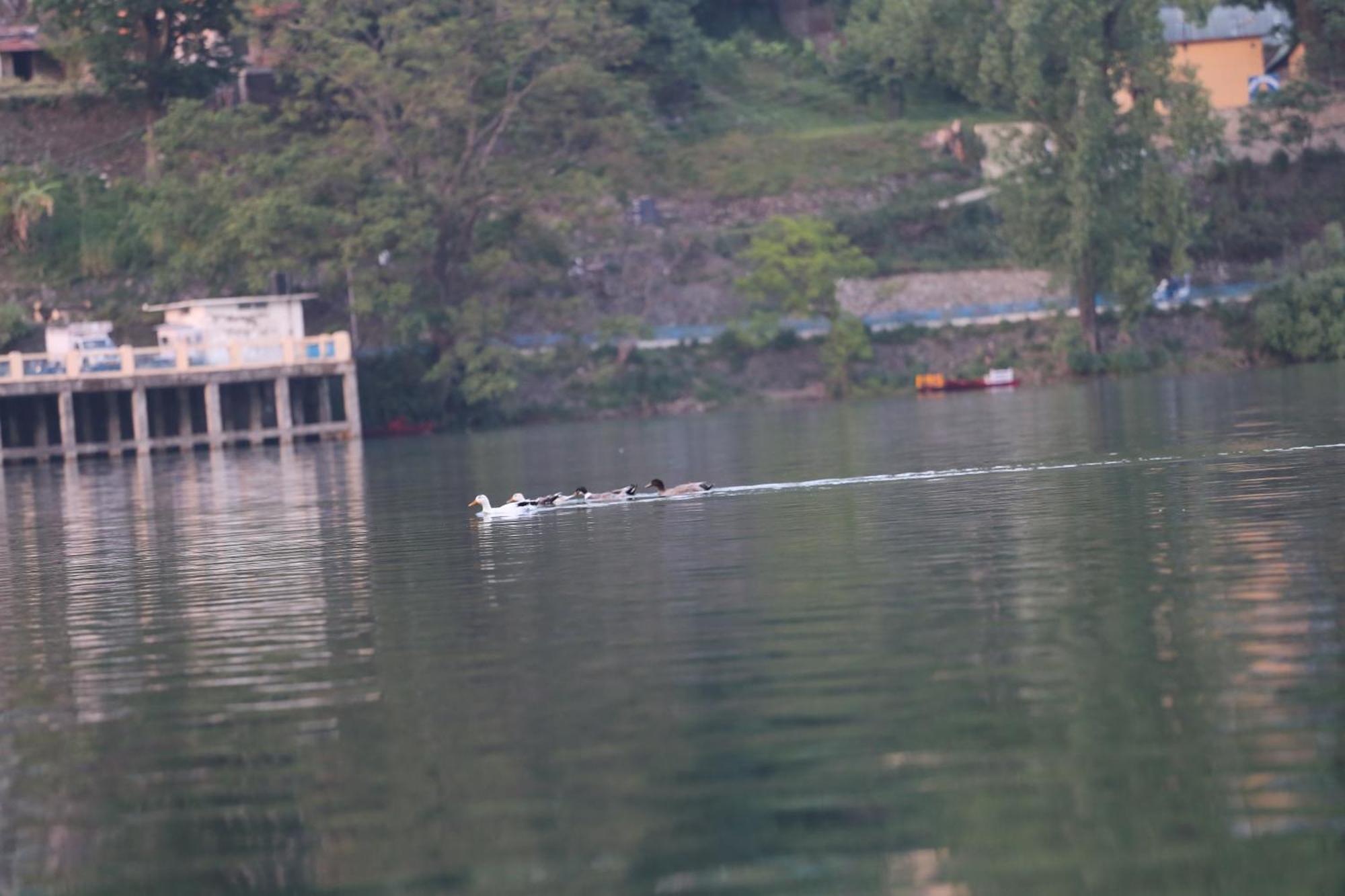 Royal Rosette Lake View Bhimtal Найнитал Экстерьер фото